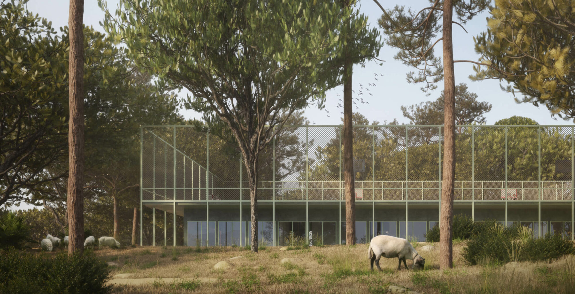 OESST HOME H 14 CAMPUS 0002 OESST HOME H 08 BOSC - OESST