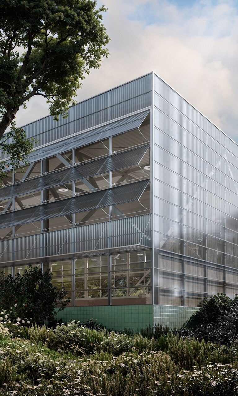 OESST_BOSC_02 en tamaño grande