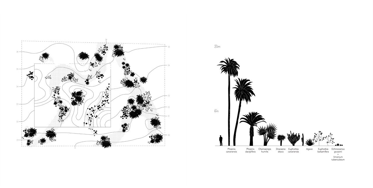 OESST_OASIS_04 en tamaño grande