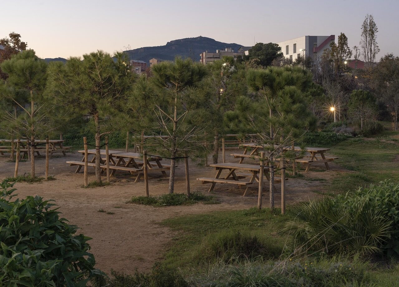 OESST_PARC_22 en tamaño grande