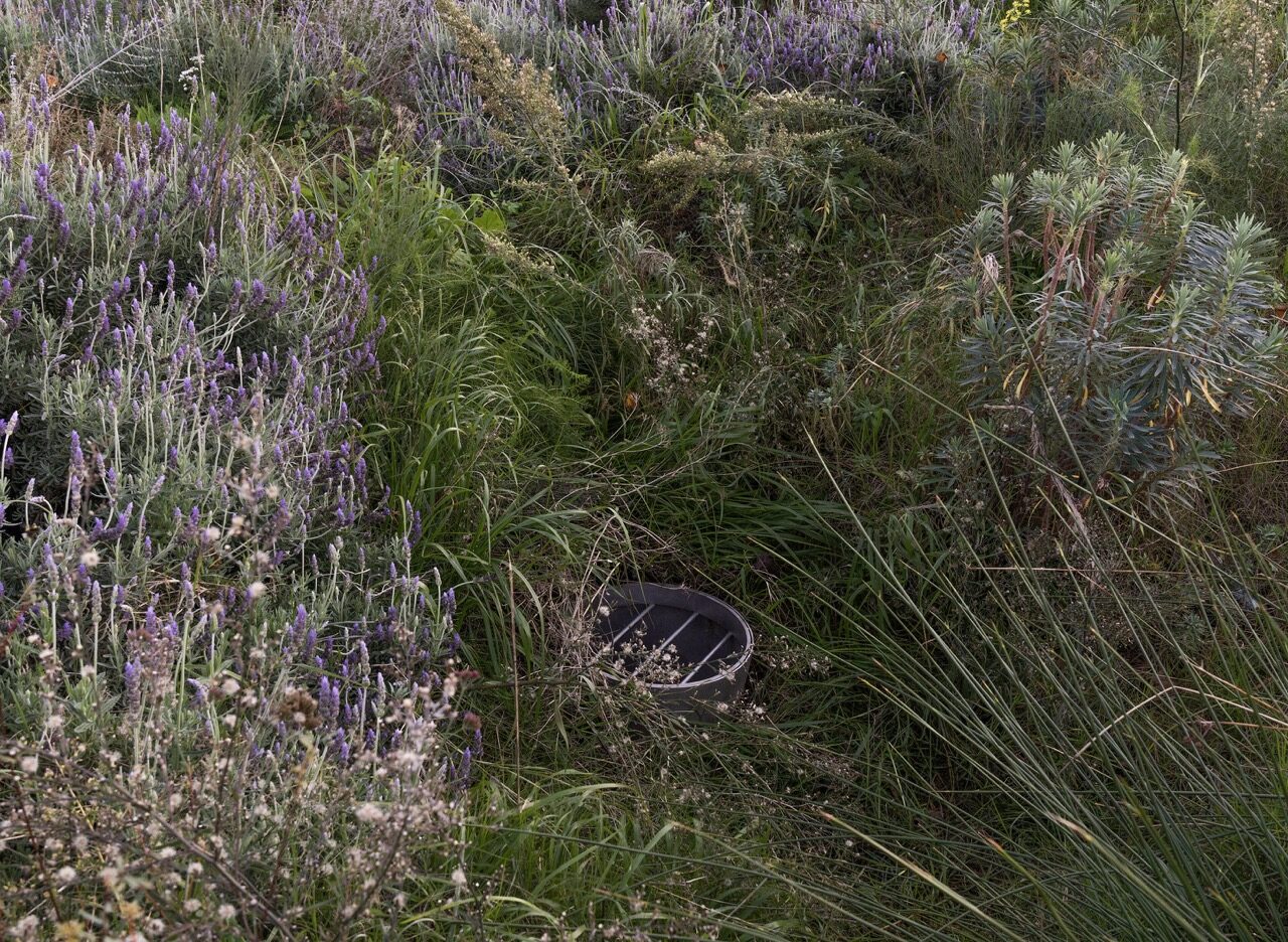 OESST_PARC_23 en tamaño grande