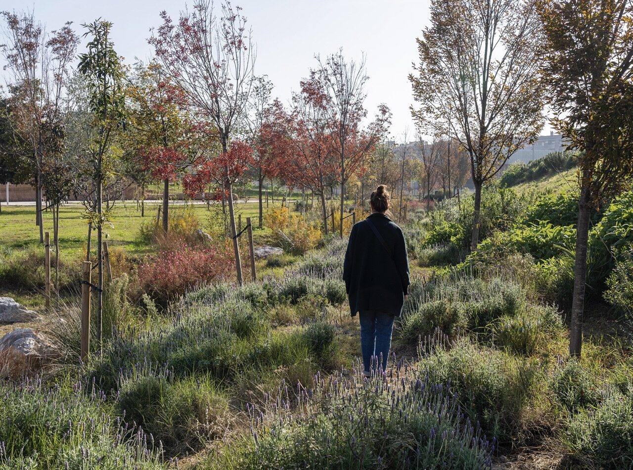 OESST_PARC_24 en tamaño grande