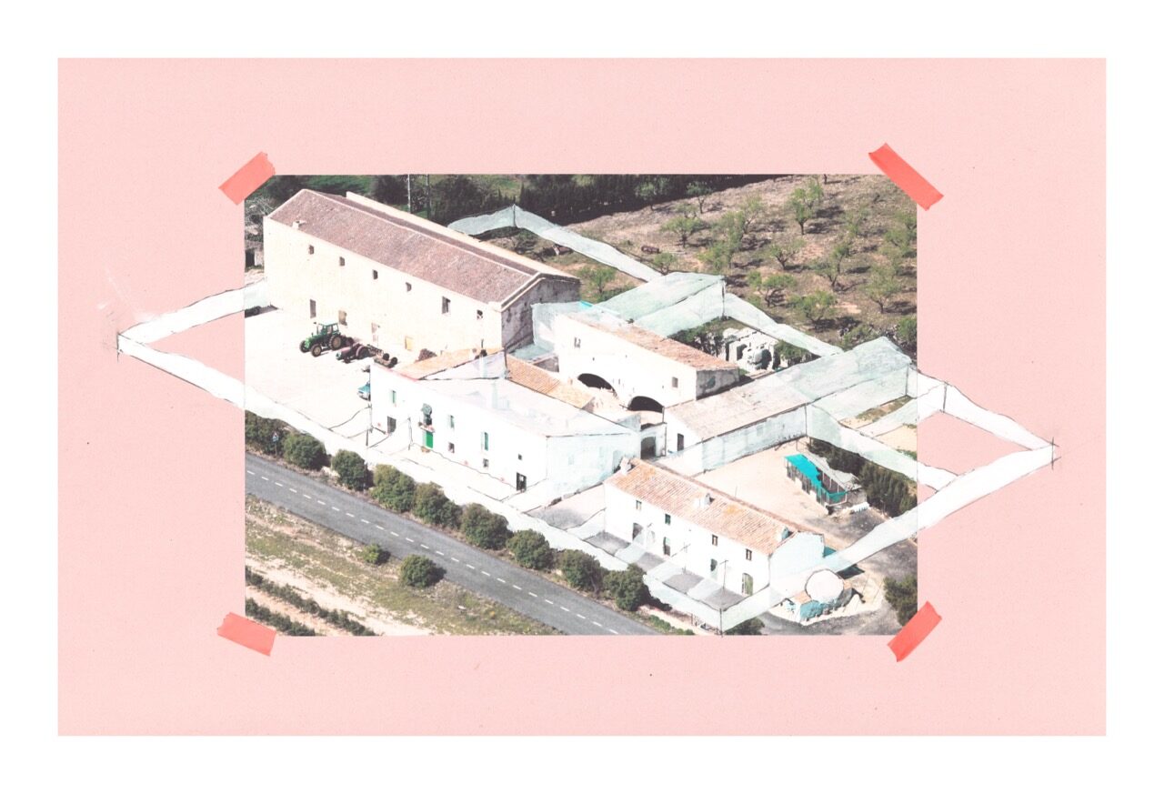 OESST_PONS_03 en tamaño grande